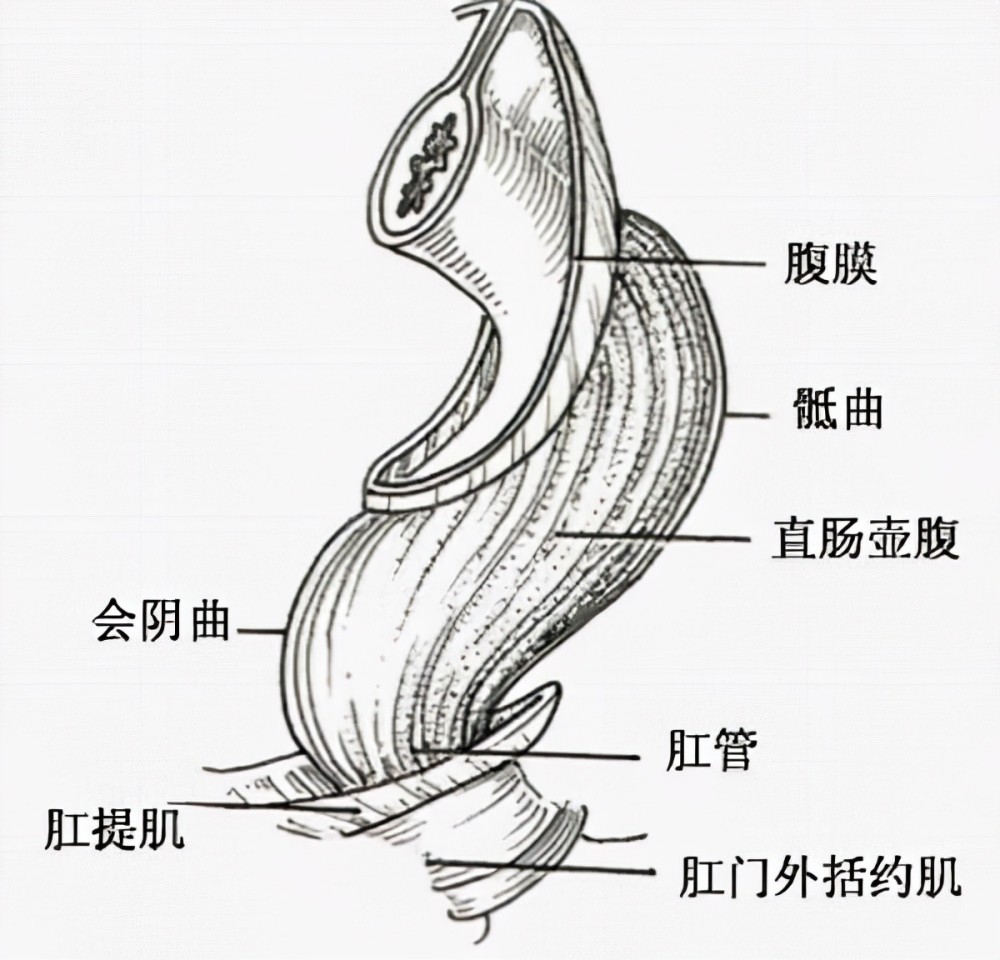 用高压气枪抵住肛门处喷气,结果会怎样?已经有人这样做