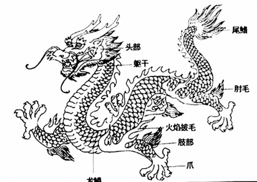 我们崇拜的龙是真实存在的吗?这一精神图腾是怎么形成