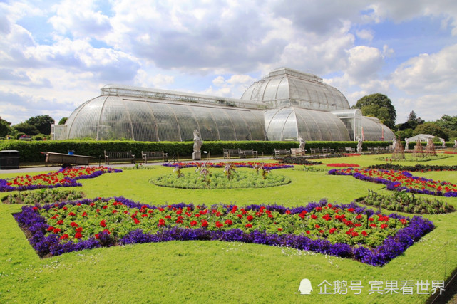 伦敦邱园收藏植物物种近1.7万 创世界纪录