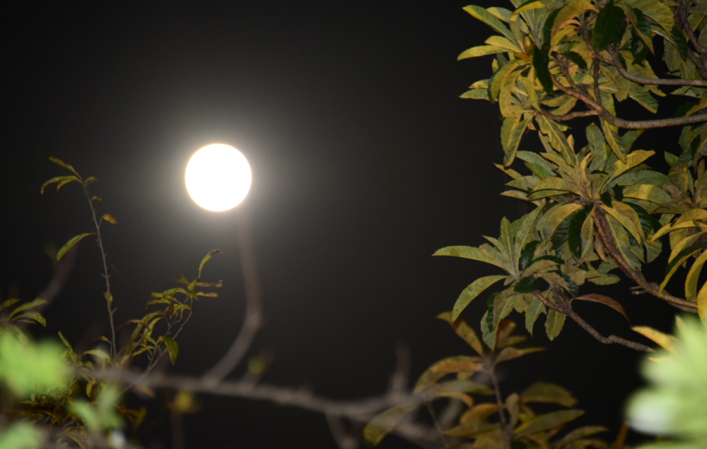 据说,这是十堰今年中秋最美的月亮照片