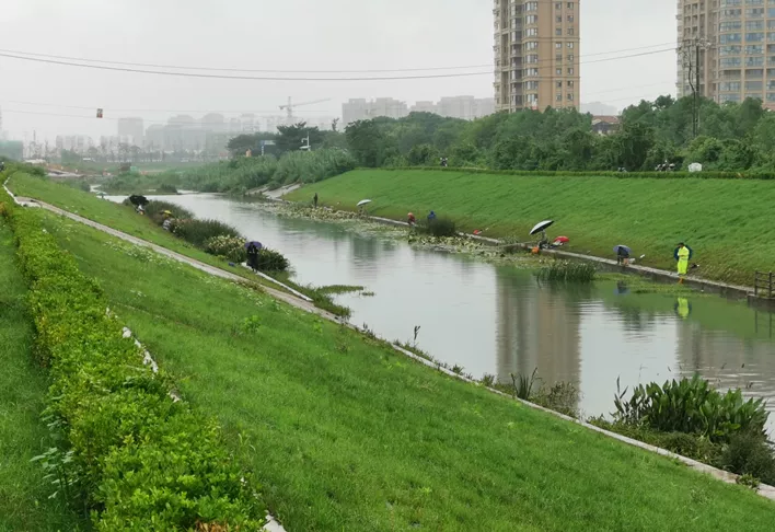 省生态环境厅总工程师王燕枫带队调研南京江宁都市型生态安全缓冲区