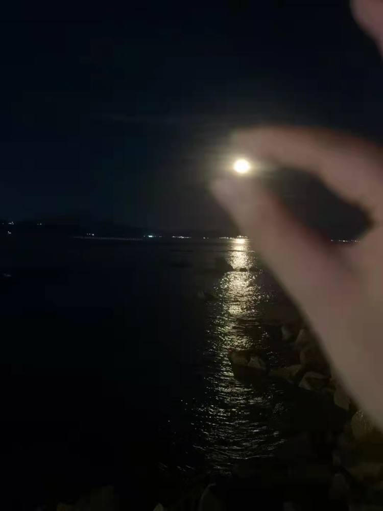 十五的月亮十六圆实拍海上生明月全过程
