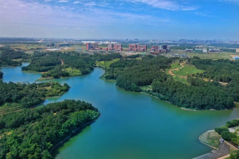 永安湖城市森林公园