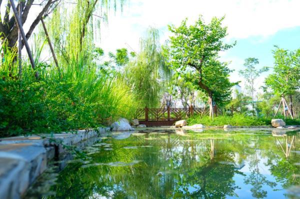 成都这个湿地公园开放!将是未来"城市绿心"?