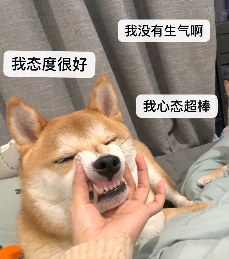 超级魔性gif聊天表情