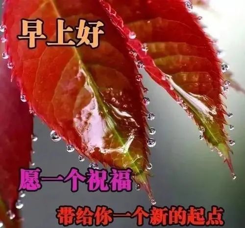 2021清晨早安问候语大全,唯美漂亮的早安问候图片大全
