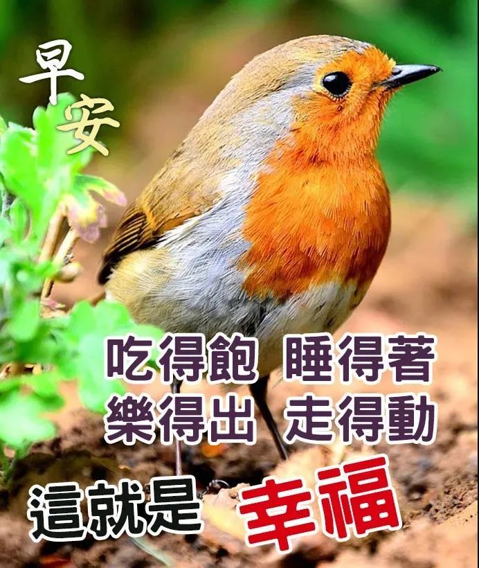 最新版早上好带字的漂亮图片朋友圈早上好温馨问候语大全