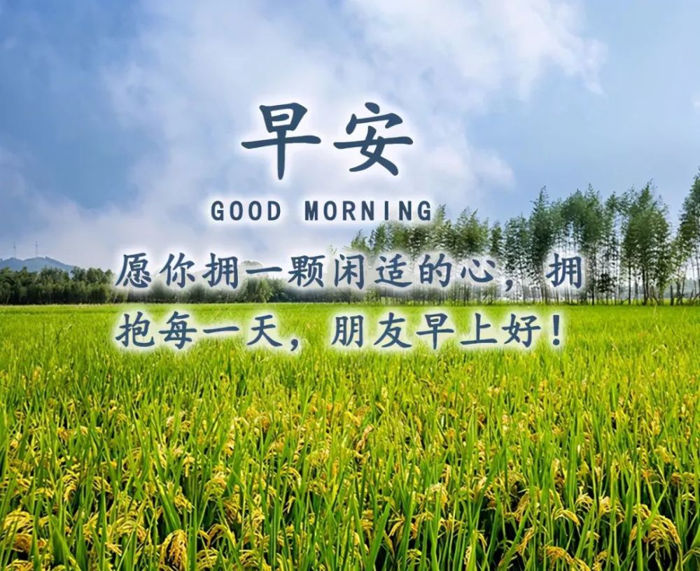 朋友圈早上好问候祝福语图片带字温馨,早安祝福语短信