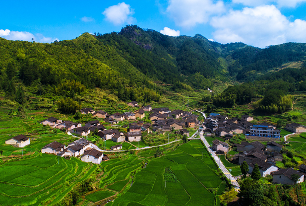 山区丘陵地带,发展生态循环农业,带来三大启示,解决