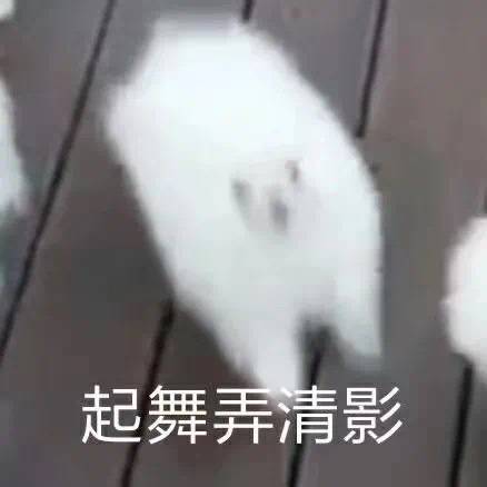 可爱棉花狗表情包虚晃一枪