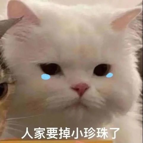 表情包:脑瓜几疼