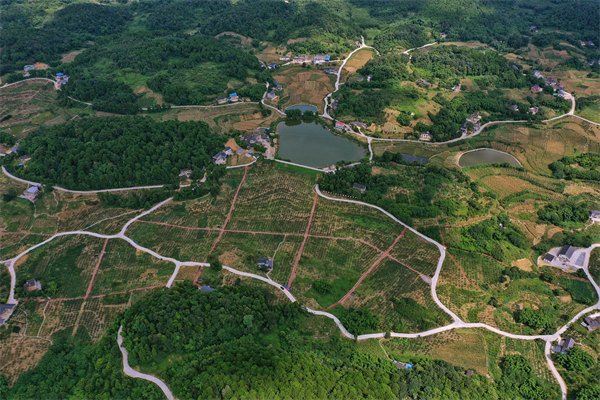 "记忆乡愁,振兴乡村 双河口镇乡村旅游季启动