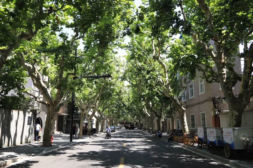 (清波路(政修路(香山路(高邮路(杏山路(新建东路(曲阳路)