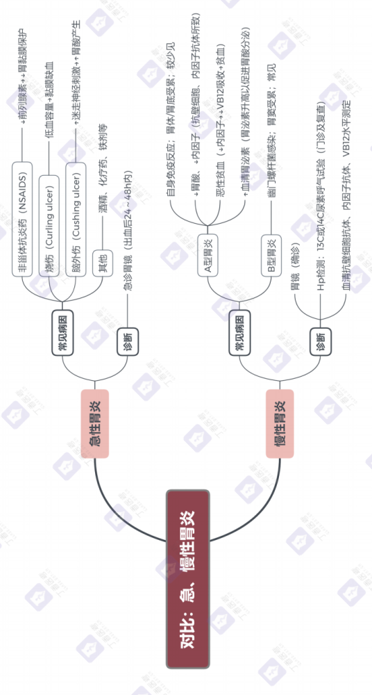 思维导图|对比消化系统的急,慢性胃炎