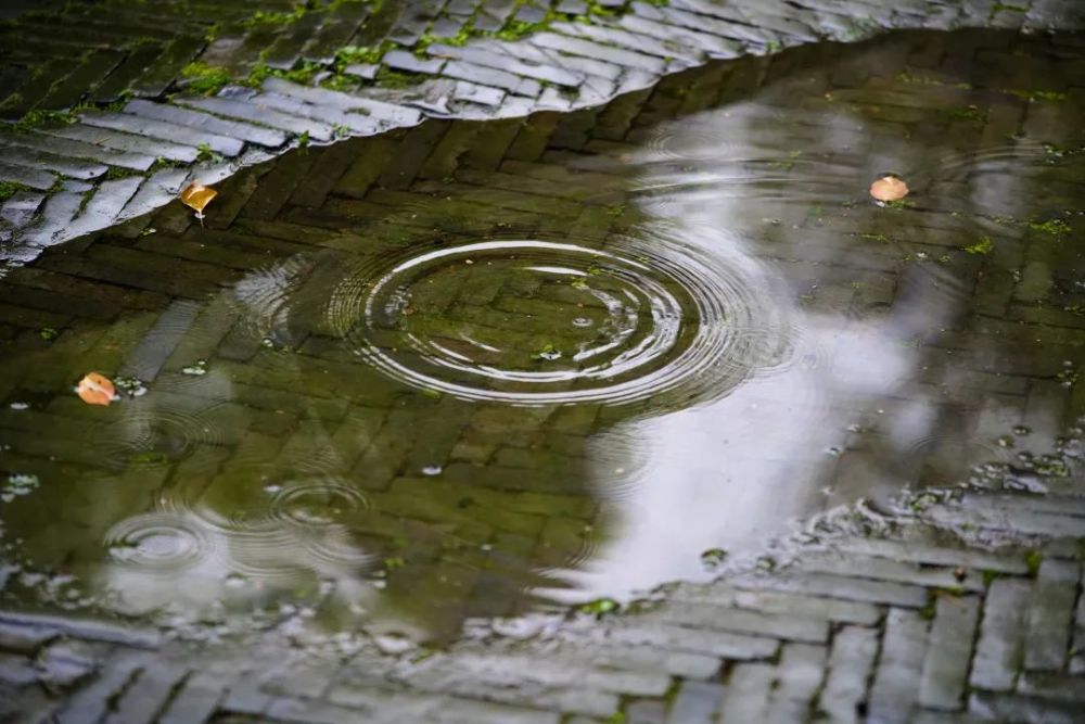 江南的朦胧烟雨 不方便出去欣赏美景 不如一起来云欣赏 雨中的苏州吧