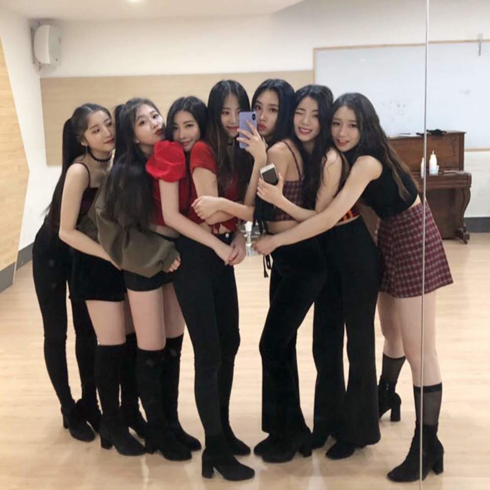 cookie——2021年3月16日 是由hr公司推出的平均年龄只有13岁的5人