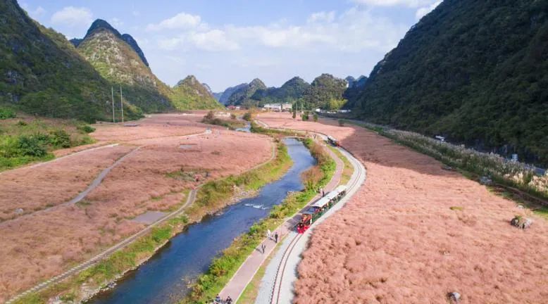 乡游黔中 · 长顺县 永增村 │ 粉黛花海 现实中的乌托邦