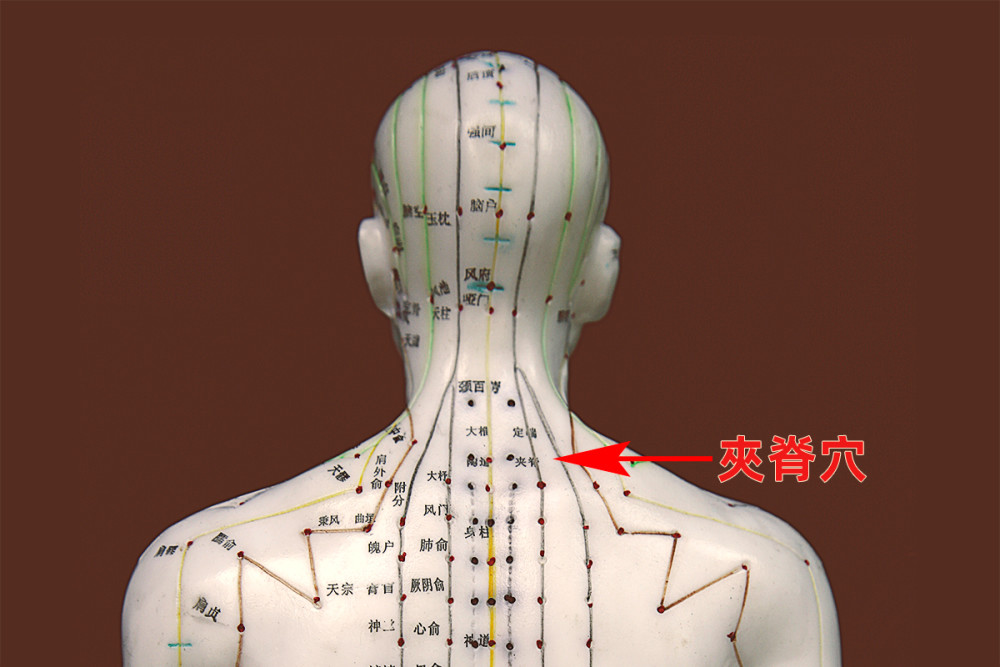 【特制养生】淋巴排毒的作用及拨揉淋巴排毒法