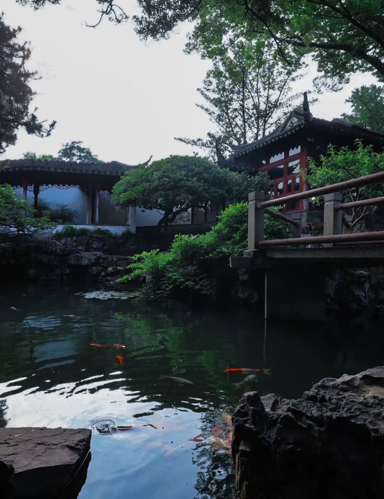 漫步苏州园林之水一隅水景便可惊艳一整个时节