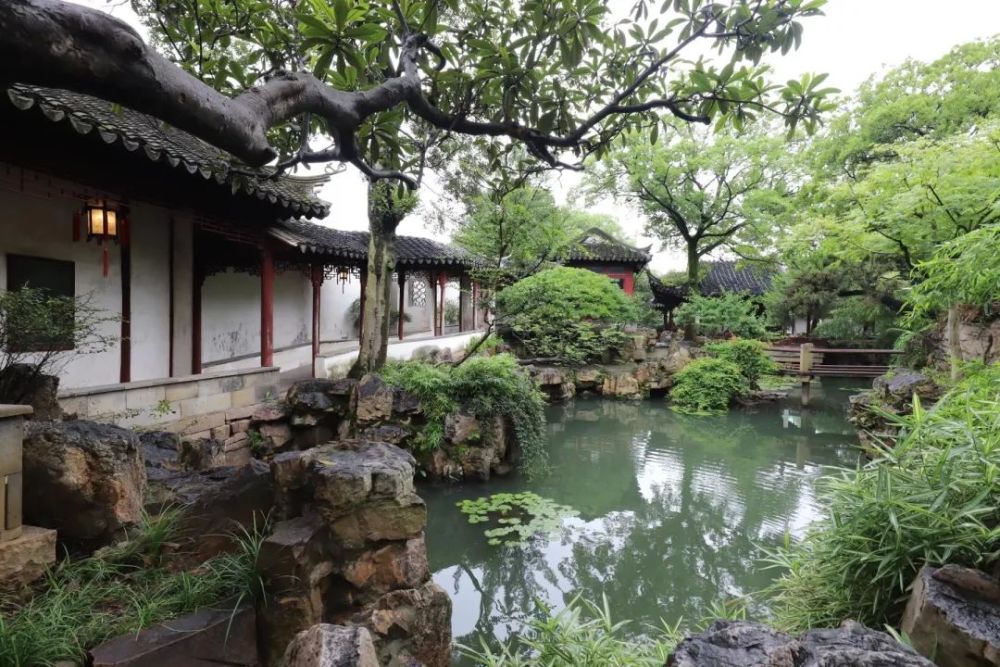 漫步苏州园林之水一隅水景便可惊艳一整个时节