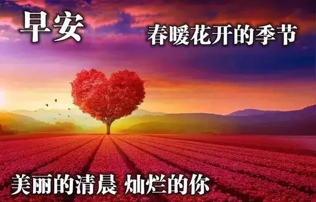 清晨早安问候祝福语说说早安心语暖心句子