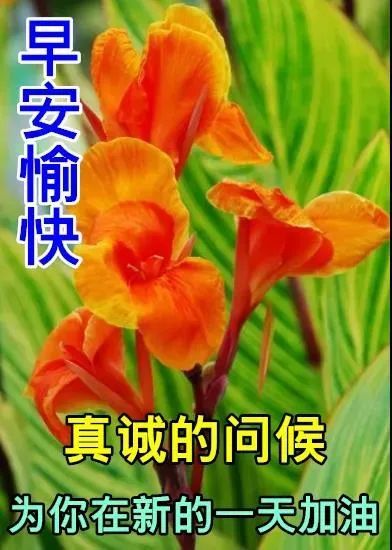 11月5日最新早上好动态祝福表情大全漂亮的早上好动图美图问候