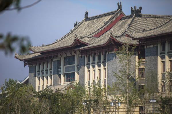 有着上百年建校历史的河南大学,位于开封明伦校区的南大门是学校的