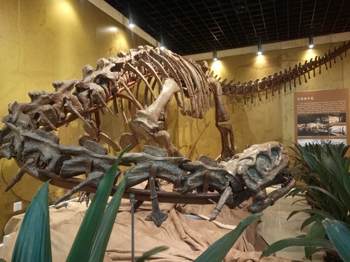在中国地质博物馆,带你了解地球古生物矿物质和古化石