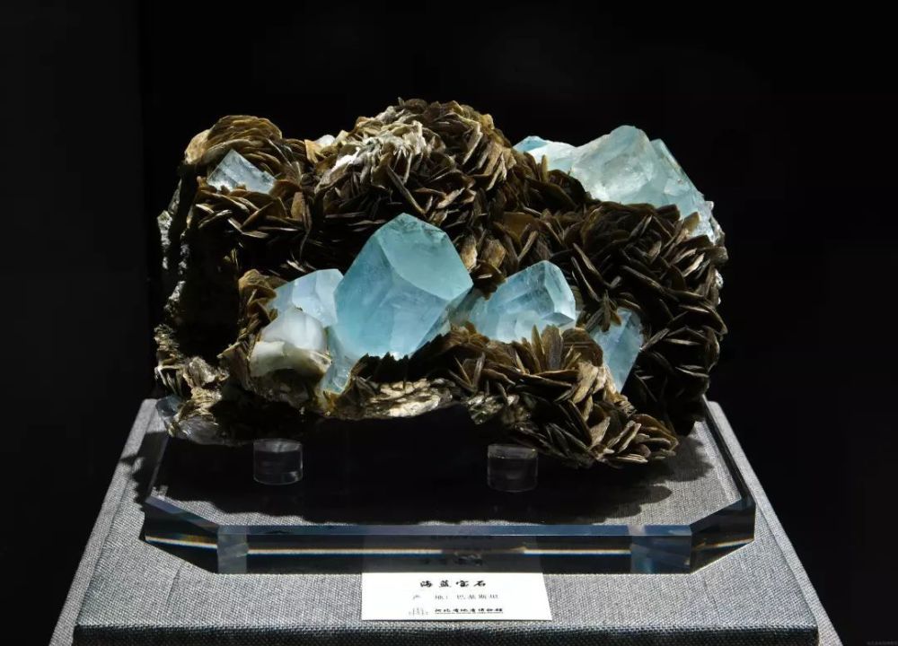 在中国地质博物馆,带你了解地球古生物矿物质和古化石