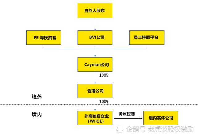 vie架构股权结构图