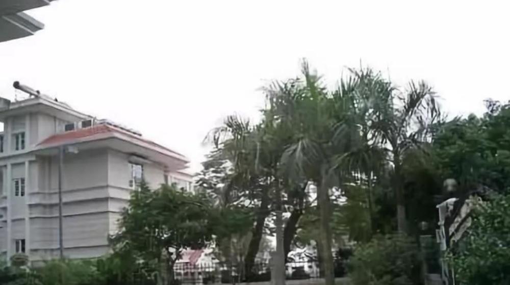 重庆残疾小伙,卖白糕成亿万富翁,每月给妻子2万,却被老婆害了
