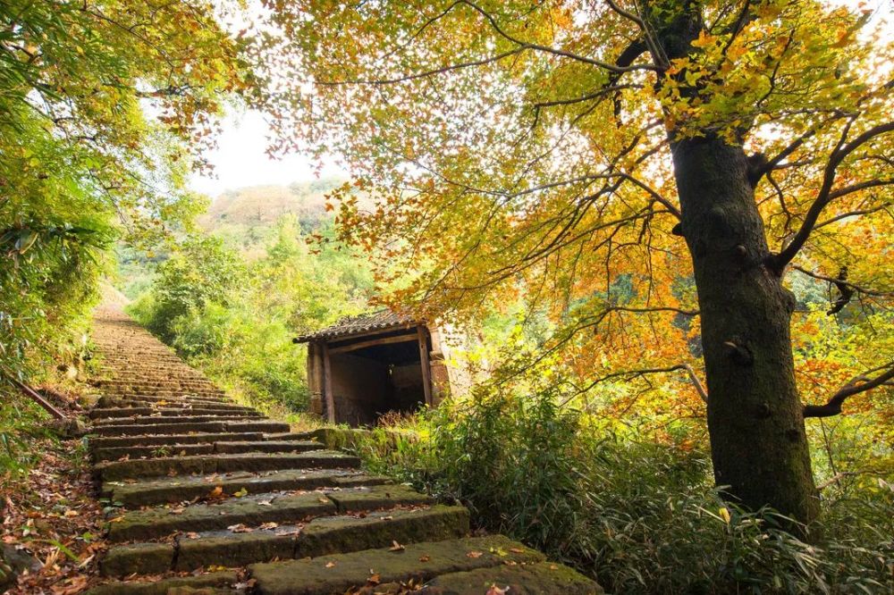 当地又称陶隐岭古道,陶元岭古道.