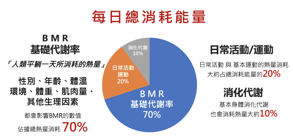 所以实际上的人体每日消耗热量,不仅仅只有计算基础代谢率这么简单,这