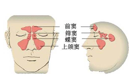 潍坊耳鼻喉专家盘点各类人群鼻窦炎的危害有哪些