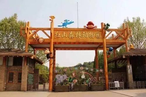 南京旅游红山森林动物园
