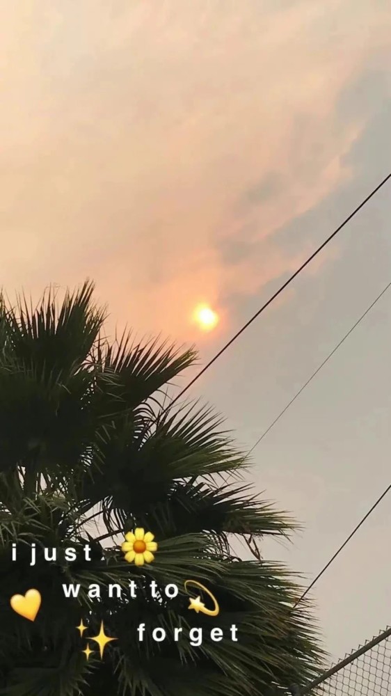 壁纸套图|关于一些单身的沙雕文案