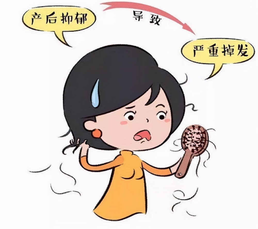 激素水平的高低会直接影响头发的脱发速度:雌激素减少的话,脱发速度