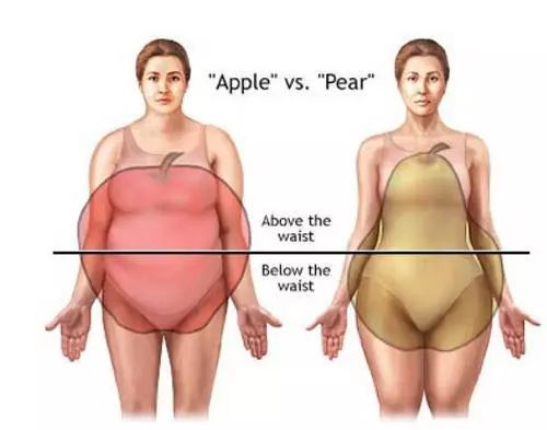 又叫梨型身材,脂肪主要囤积在 臀部及大腿上,上半身瘦下半身胖,也被称