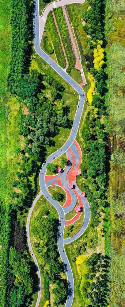 184公里串联十大公园滨海新区超长绿道2022年上半年建成开放