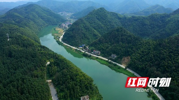 仙溪镇的芙岭朝云是湖南安化县历史名景,如今风车与茶园相得益彰.