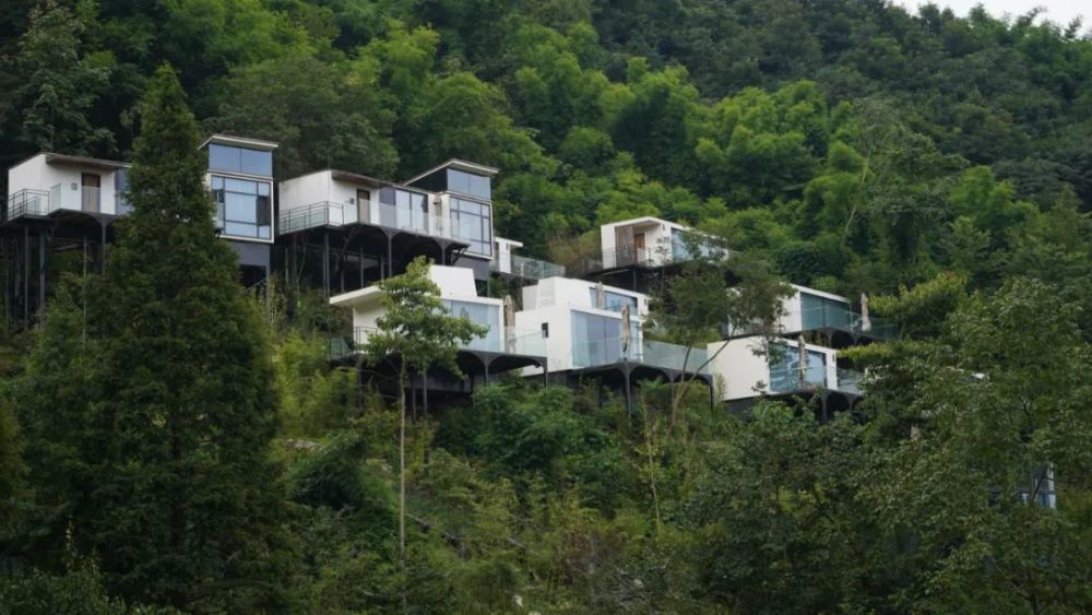 竹林里的生态旅居新方式—地球仓·西南新晋顶奢民宿几乎