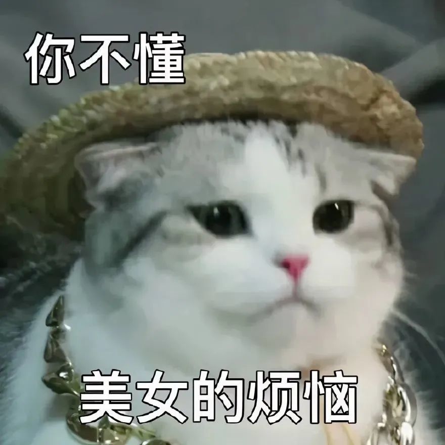 恶搞表情美女的烦恼你不懂
