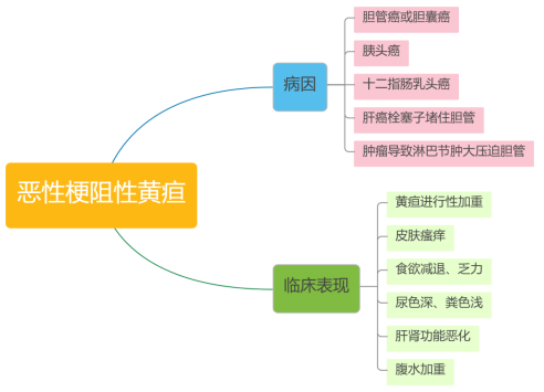 恶性梗阻性黄疸的护理