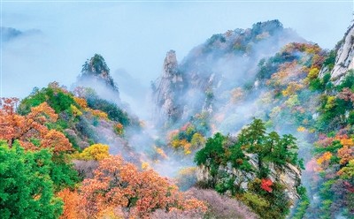 在洛阳有一座宝藏小城—嵩县.她即将迎来一年中最美的景色.