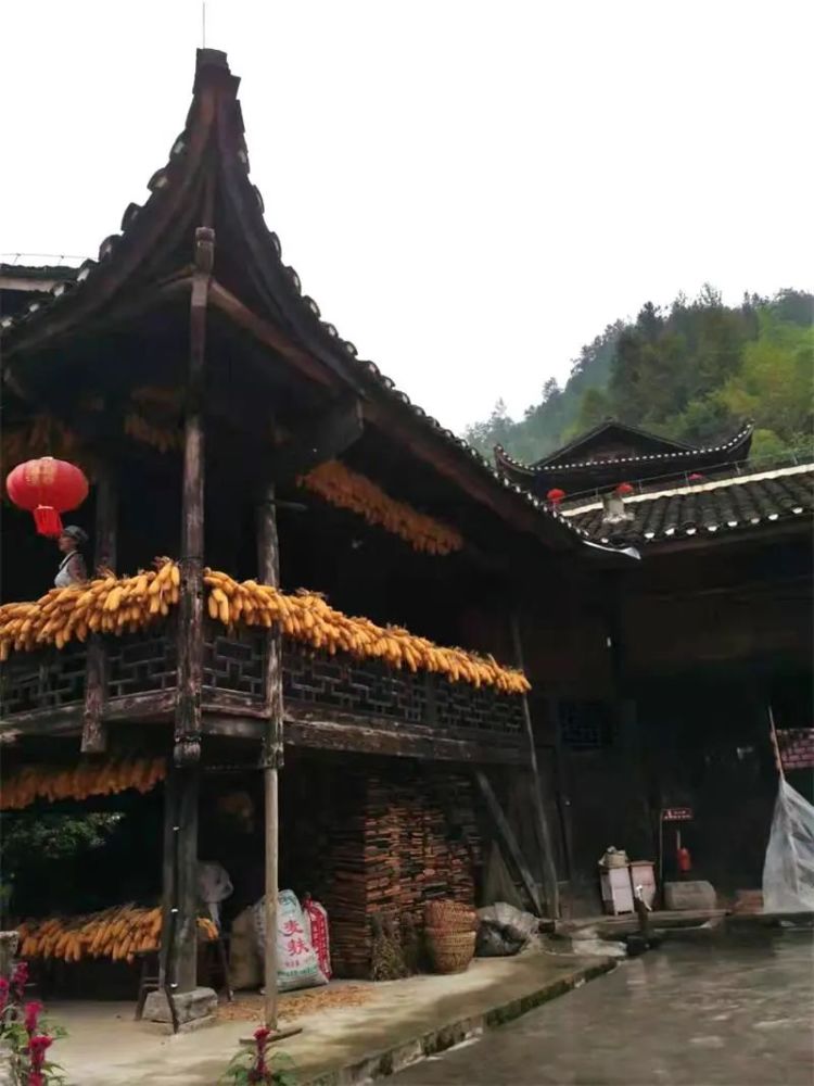 许武才行走宣恩之三:与彭家寨的第一次亲密接触