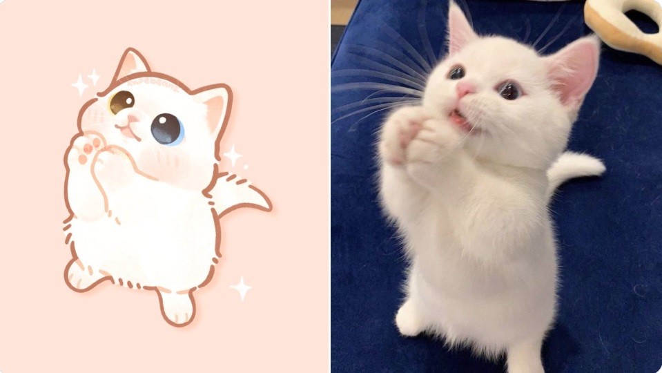 卡哇伊萌宠插画,经过画师的绘图真实猫儿动作变得超可爱