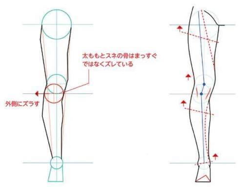 人体教科书!新手小白都能看懂的人物腿部画法教学