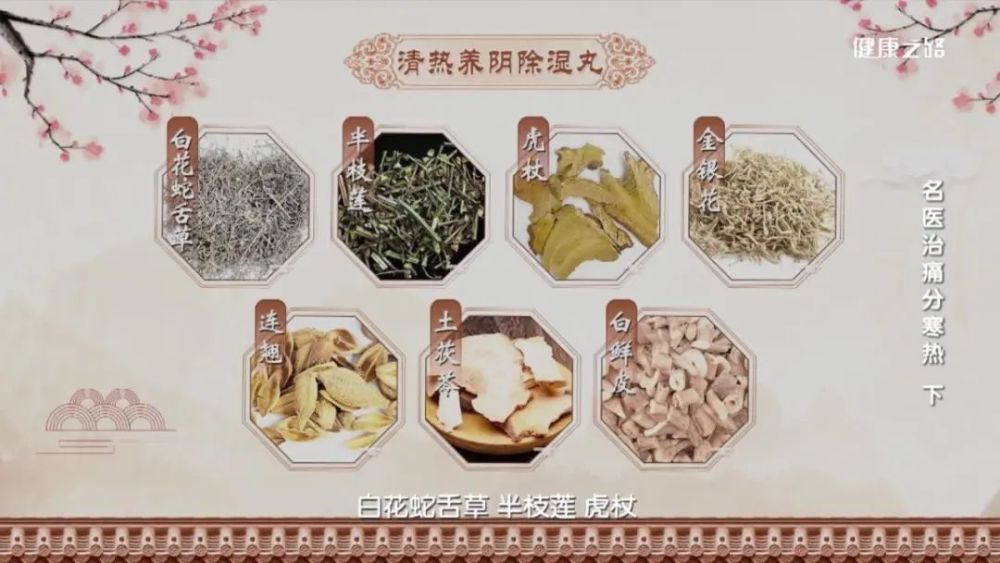 痛风疼痛太难忍,中医防治有妙招!丨健康之路