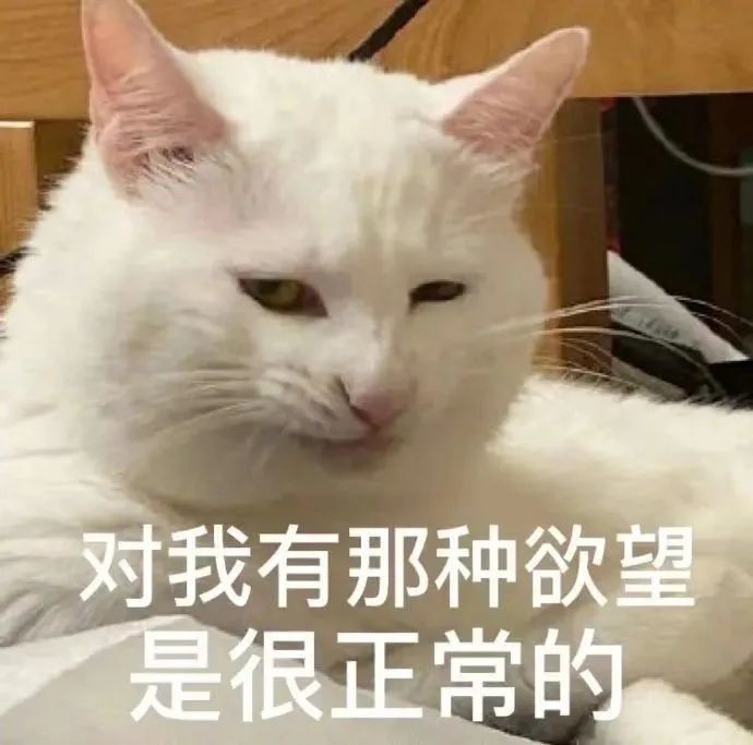 表情包刚睡醒有事吗