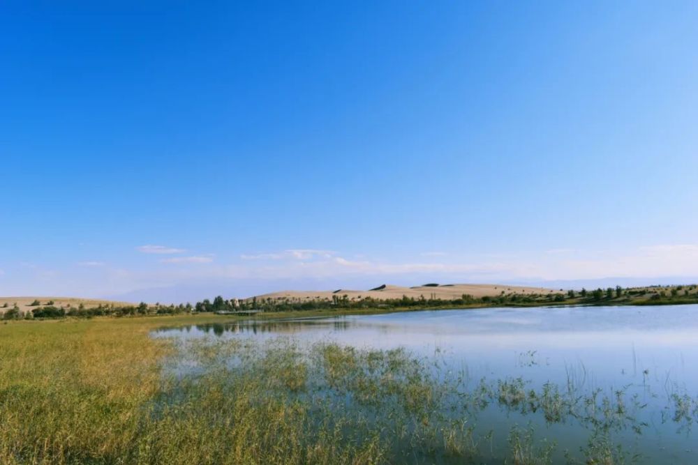 简介:洛浦县塔克拉玛干沙漠乐园玉龙湾景区位于洛浦县多鲁乡,占地面积